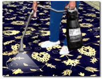 Chicago, IL home cleaning services