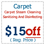 rug cleaning in Chicago IL